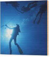 Scuba Divers Silhouettes Wood Print