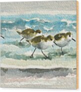 Scurrying Along The Shoreline 2  1-6-16 Wood Print