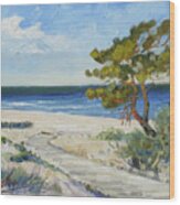 Sea Beach 6 - Baltic Wood Print