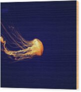 Sea Nettle Dance Wood Print