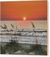 Sea Oats Sunrise Wood Print