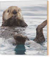 Sea Otter Wood Print
