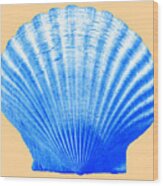 Sea Shell -blue On Sand Wood Print