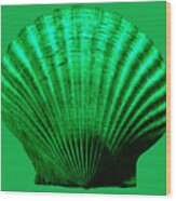 Sea Shell -green Wood Print