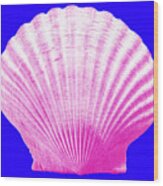 Sea Shell- Pink On Blue Wood Print