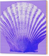 Sea Shell-purple Wood Print