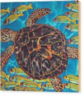Sea Turtle With Schooling Fish Wood Print