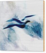 Seagull In Blue Wood Print