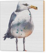 Seagull Print Wood Print