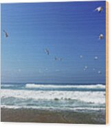 Seagulls And Wave Wood Print
