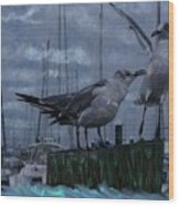 Seagulls Wood Print
