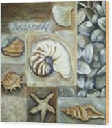 Seashells Wood Print