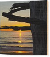 Seaside Tree Branch Sunset Wood Print