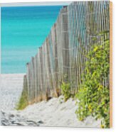 Seaside Wildflower Sand Fence Wood Print