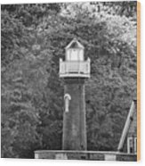 Sedgely Club - Turtle Rock Lighthouse Wood Print