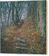 Sentry Path Sighisoara Wood Print