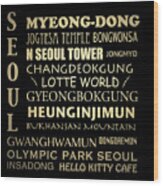Seoul Famous Landmarks Wood Print