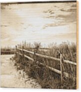 Sepia Pathway To The Sea Wood Print