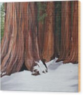 Sequoias Wood Print