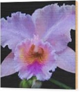 Serendipity Orchid Wood Print