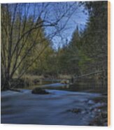 Serene Plover River Wood Print