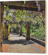 Serene Walkway Wood Print