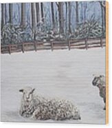 Sheep In Field Wood Print