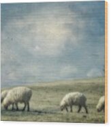 Sheep On The Hill Wood Print