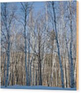 Shelburne Birches In Snow Wood Print