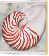 Shimmering Nautilus Wood Print