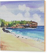 Shipwreck's Beach 2 Wood Print