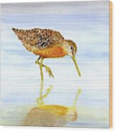 Short-billed Dowitcher Wood Print