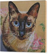 Siamese Cat Wood Print