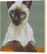 Siamese Cat Wood Print
