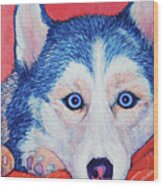 Siberian Husky Wood Print