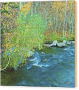 Sierra Autumn Splendor Wood Print