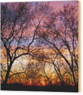 Silhouette Sunset 43017 Wood Print