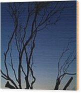 Silhouetted Twilight Wood Print