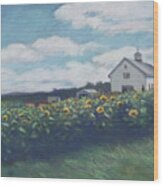 Silsby Farm Sunflowers Wood Print