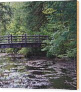 Silver Creek Falls #38 Wood Print
