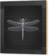 Silver Dragonfly On Black Canvas Wood Print