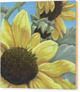 Silver Leaf Sunflower Growing To The Sun Wood Print
