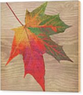 Single Leaf Shades Of Autumn Wood Print