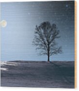 Single Tree In Moonlight Wood Print