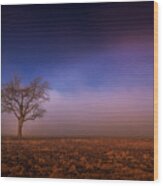 Single Tree In The Mississippi Delta Wood Print