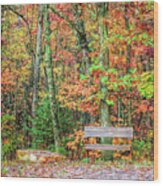 Sit And Watch The Leaves Turn Wood Print