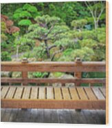 Sitting Bench Landscape View Japanese Tea Garden Hayward