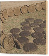 Skc 5527 Cowdung Cakes Wood Print
