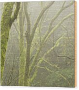 Skn 3726 Fog And Moss Wood Print