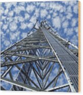 Sky Tower Wood Print